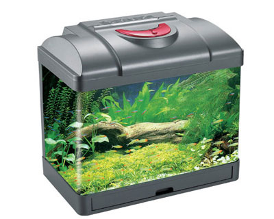 low voltage aquarium(24V)